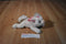 Disney Aristocats White Kitten Marie Beanbag Plush