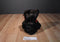 Hallmark Chocolate Brown Teddy Bear with Red Rose Beanbag Plush