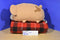 Disney Tsum Tsum Duffy Bear Beanbag  Plush