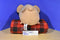 Disney Tsum Tsum Duffy Bear Beanbag  Plush