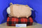Disney Tsum Tsum Duffy Bear Beanbag  Plush