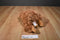Gund Rusty the Orangutan Plush