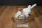 Boyd's Bears Allison B. Hopplebuns Hoppy Easter White Bunny Rabbit in a Basket 2004 Plush