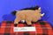 Disney  The Lion King Pumbaa plush With Plastic Face(