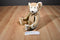 Bath and Body Works Gingerbread Teddy Bear Suede Leather Plush