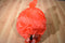 Accessory Innovations Animations Angry Birds Red 2012 Backpack