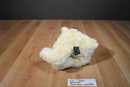 Russ buckingham Creamed Colored Bear Beanbag Plush