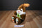 Kids of America Brown and White Bunny Rabbit Plush