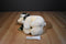 MJC Purr-fection Cabela's Beige Holiday Bear 2010 Beanbag Plush