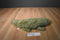Dakin Lou Rankin Everglade The Green Alligator Beanbag Plush