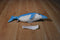 Douglas Benny the Blue and White Sparkly Dolphin Plush