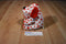 Ty Pluffies Harts the White Dog With Red Hearts 2006 Beanbag Plush