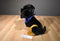 Kelly Toy Rottweiler Plush with Blue Bandana