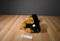 Kelly Toy Rottweiler Plush with Blue Bandana