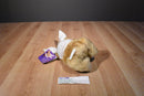 American Greetings Soft Touch Brown Bear in Bunny Ears Plush