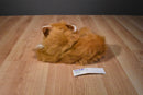 Red Fox Laying Down Plush with Yellow Eyes