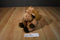 Ty Classic Lodges the Brown Moose 2007 Beanbag Plush