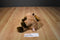 Ty Classic Lodges the Brown Moose 2007 Beanbag Plush