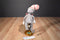 My Natural Dr. Seuss Lorax Project Grey Cat in the Hat 2011 Cotton Plush