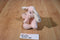 Baby Ganz Pink and White Squeaking Elephant Plush