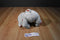 Kohl's Cares Disney Dumbo Plush and Hardcover Book