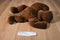Ty Pillow Pals Antlers the Brown Moose 1998 Plush