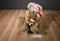 Russ Marmie and Baby With Teddy Bear Beanbag Plush