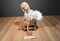 Gund Dahling the Ostrich Plush