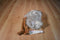 Gund Dahling the Ostrich Plush