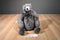 Disney The Jungle Book Baloo the Bear Plush