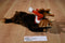 Dakin Noel the Christmas Moose Beanbag Plush