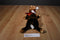 Dakin Noel the Christmas Moose Beanbag Plush