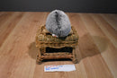 Aurora Mini Flopsies Howie the Hedgehog Beanbag Plush