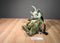 Fiesta Travel Buddies Triceratops Backpack