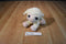 Aurora Dreamy Eyes Beige and Pink Lamb Beanbag Plush