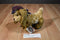 Ganz Cottage Collectibles Barkley the Brown Dog 1995 Beanbag Plush