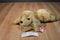 Ty Classic Charlie the Cocker Spaniel 1995 Beanbag Plush