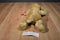 Ty Classic Charlie the Cocker Spaniel 1995 Beanbag Plush