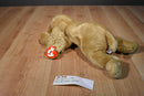 Ty Classic Charlie the Cocker Spaniel 1995 Beanbag Plush