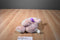Animal Adventure Mauve/Pink Teddy Bear 2018 Plush With Purple Bow
