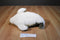 Short Beaked Common Dolphin Plush