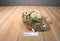 America Wego Brown, Beige and White Bear Plush