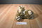 America Wego Brown, Beige and White Bear Plush