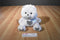 TCFC Care Bears White and Silver Bear 2007 Beanbag Plush