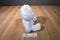 TCFC Care Bears White and Silver Bear 2007 Beanbag Plush