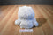 TCFC Care Bears White and Silver Bear 2007 Beanbag Plush