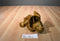 Russ Zonies Earth Zones Triggor Triceratops Floppy Beanbag Plush