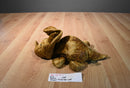 Russ Zonies Earth Zones Triggor Triceratops Floppy Beanbag Plush