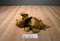 Russ Zonies Earth Zones Triggor Triceratops Floppy Beanbag Plush