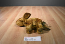 Russ Zonies Earth Zones Triggor Triceratops Floppy Beanbag Plush